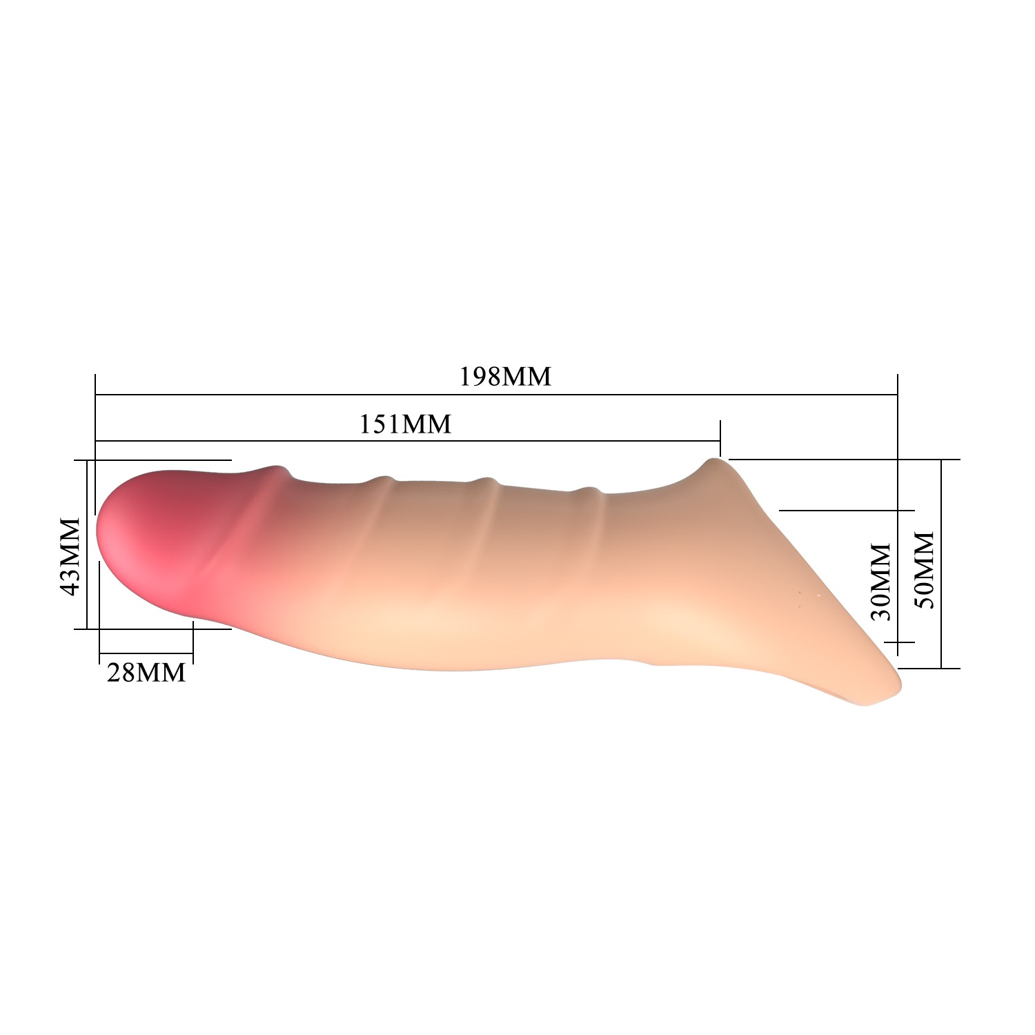 Extensión Peneana Damell 2,8cm. - Imagen 2